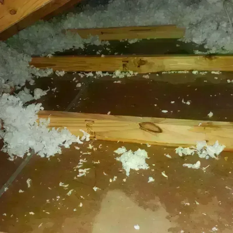 Attic Water Damage in Choctaw County, OK